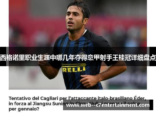 西格诺里职业生涯中哪几年夺得意甲射手王桂冠详细盘点